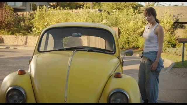                 查莉刚把大黄蜂