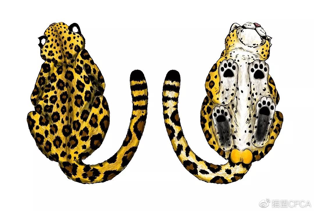 如果说有什么是比m2还受欢迎的,那只能是m2的蛋蛋了!