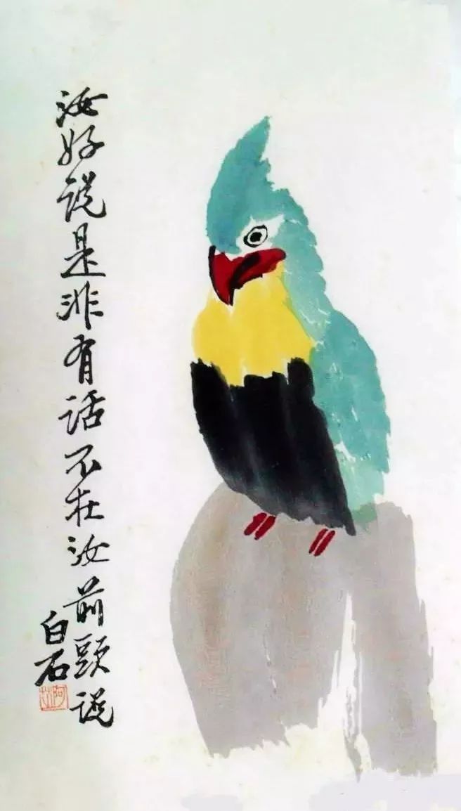 齐白石 | 八哥解语偏饶舌,鹦鹉能言有是非