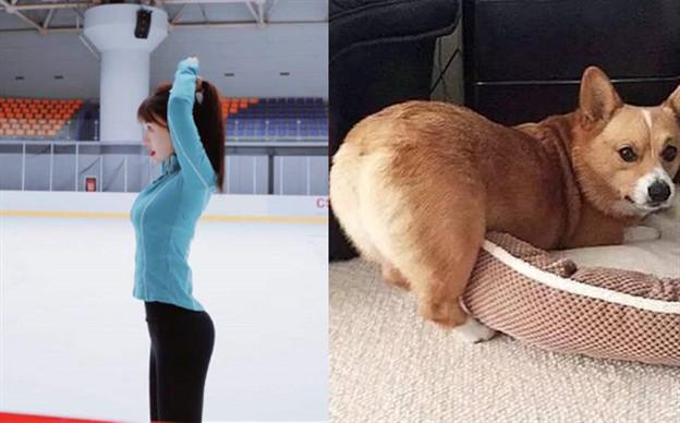 李菲儿现身澳门街头随意撩发太撩人露腰装配五分裤柯基臀抢镜