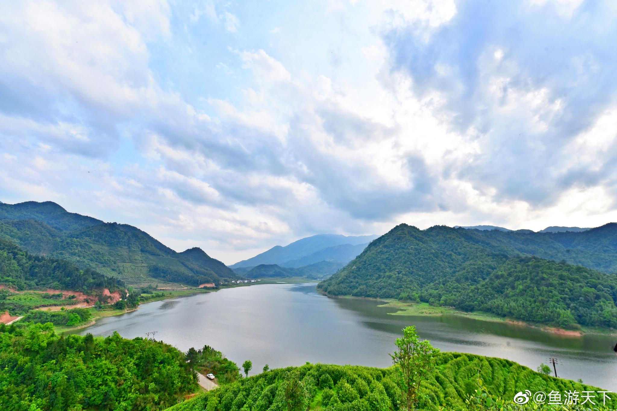 蓝天白云,清风拂面,漫步宜黄县的军峰山有机茶园