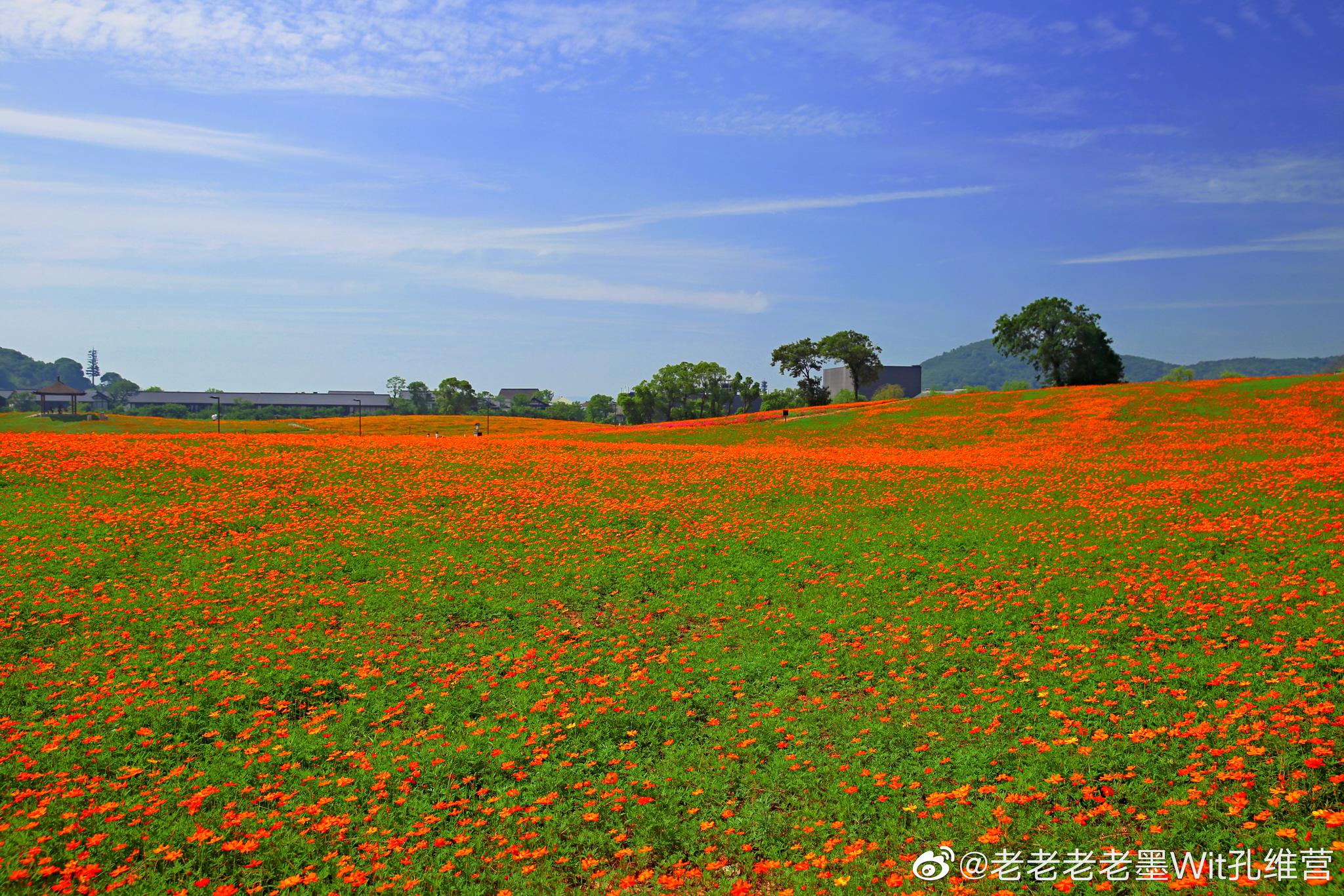 遇见拈花湾遇见梵天花海 @无锡同城
