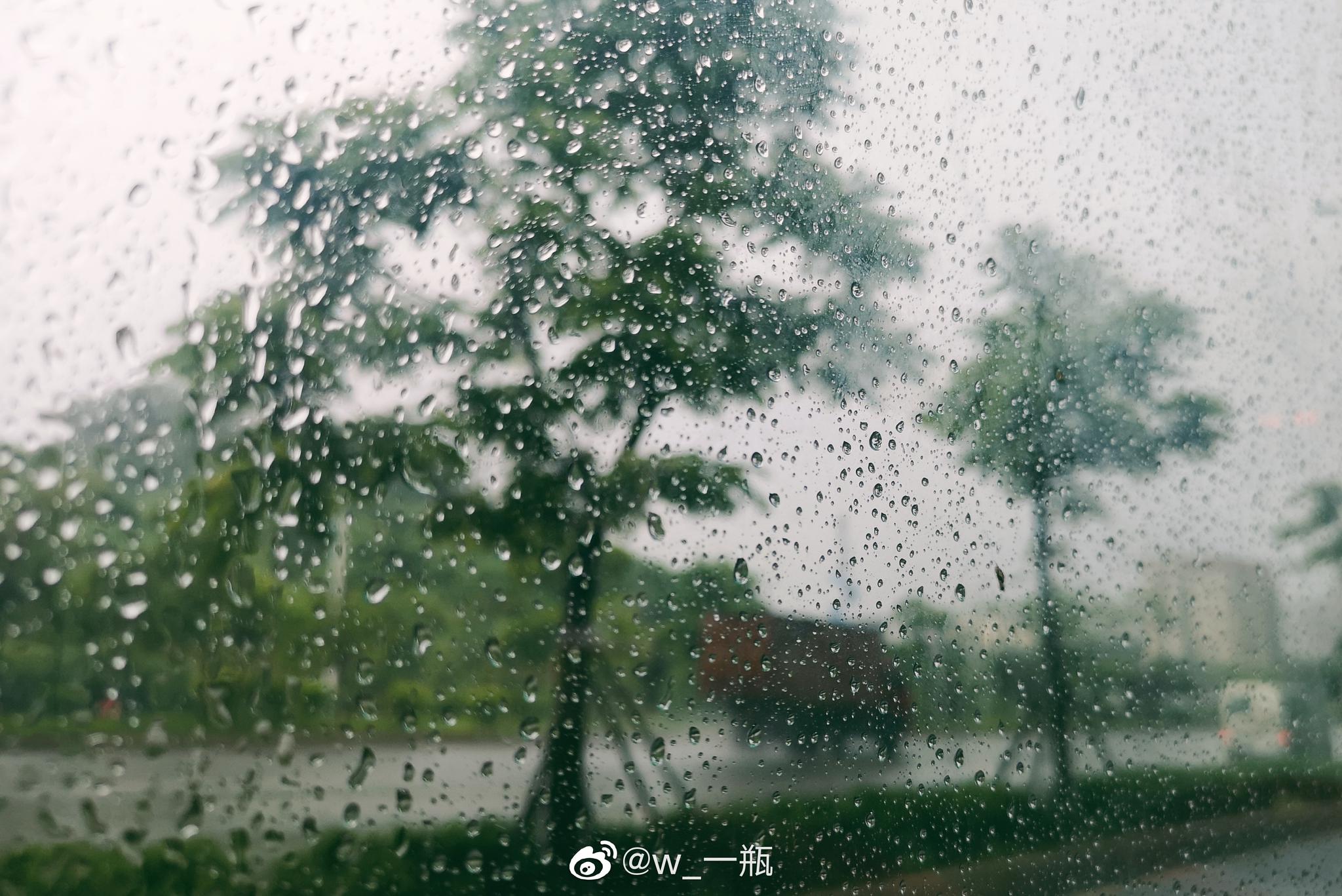 六月的雨