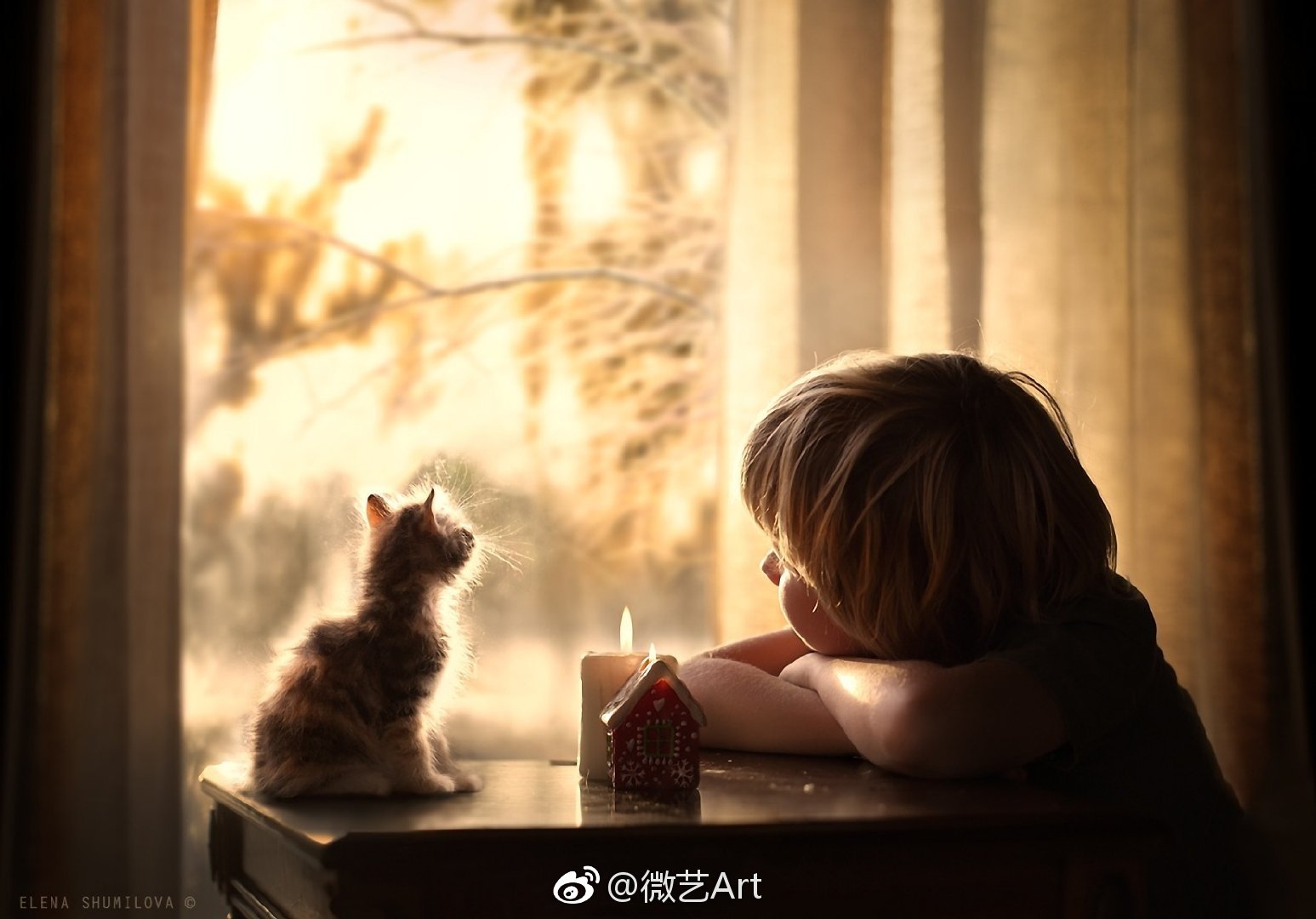 融洽相处的温馨瞬间俄罗斯人物摄影艺术家elenashumilova命题创作