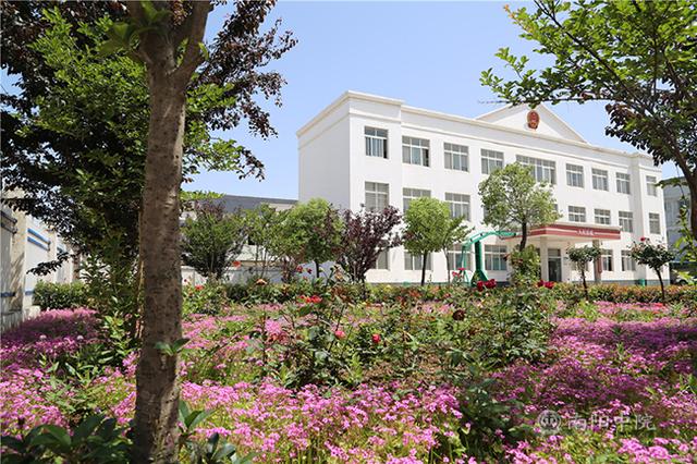 邓州法院构林法庭:架起法官与群众之间的"连心桥"