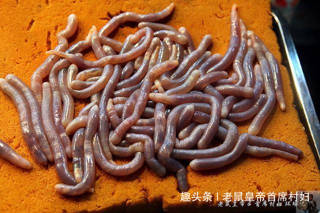看上去像蚯蚓的它胶原蛋白含量贼高,可以吵着吃炸着吃还可以——生吃!