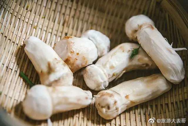 菌季采松茸，是云南人的头等大事。每年的6到11月份_新浪新闻