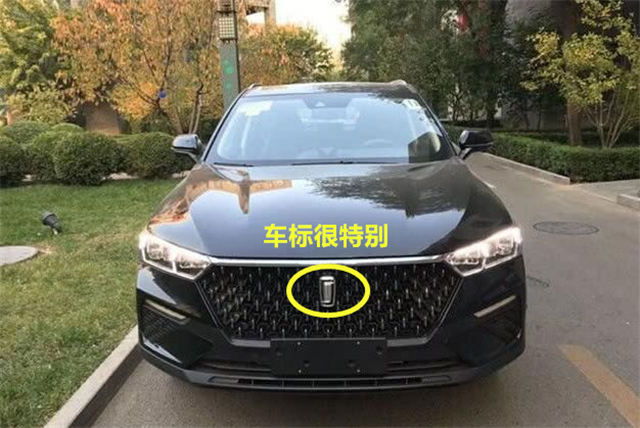 邻居提了台国产suv,颜值惊艳,车标很特别,都以为是进口豪车