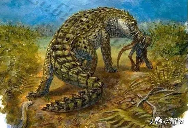 奇特古鳄鱼,长着野猪式獠牙,还像野猪在陆地奔走猎食