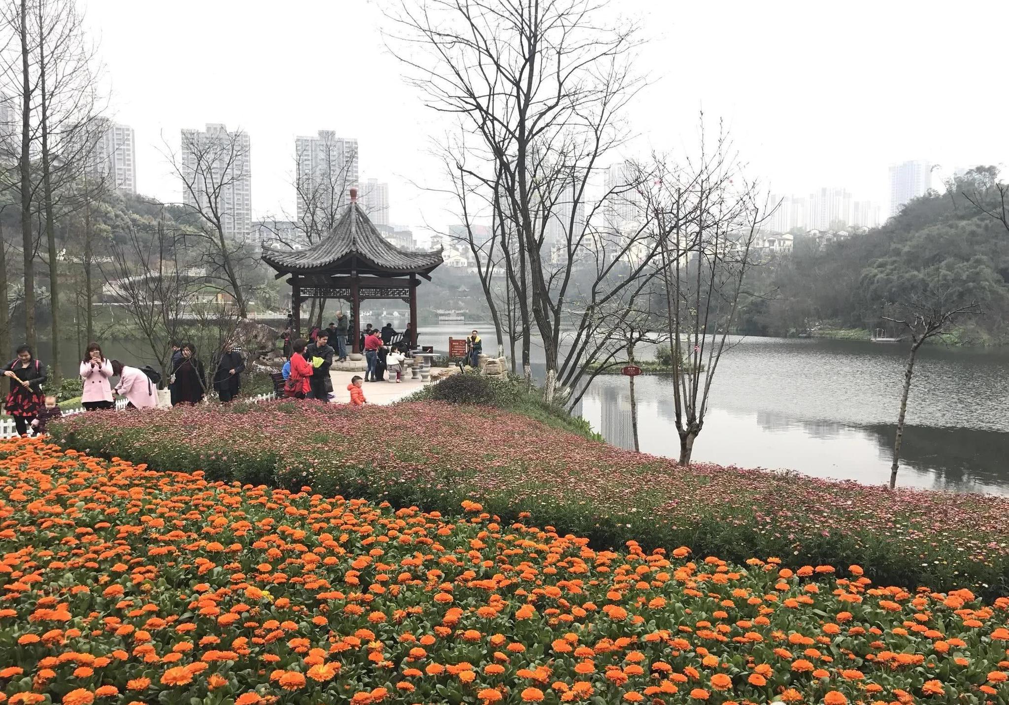 彩云湖国家湿地公园