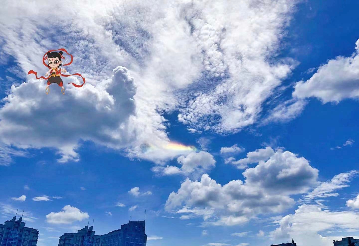 今日份小可爱白云祝你天天好心情