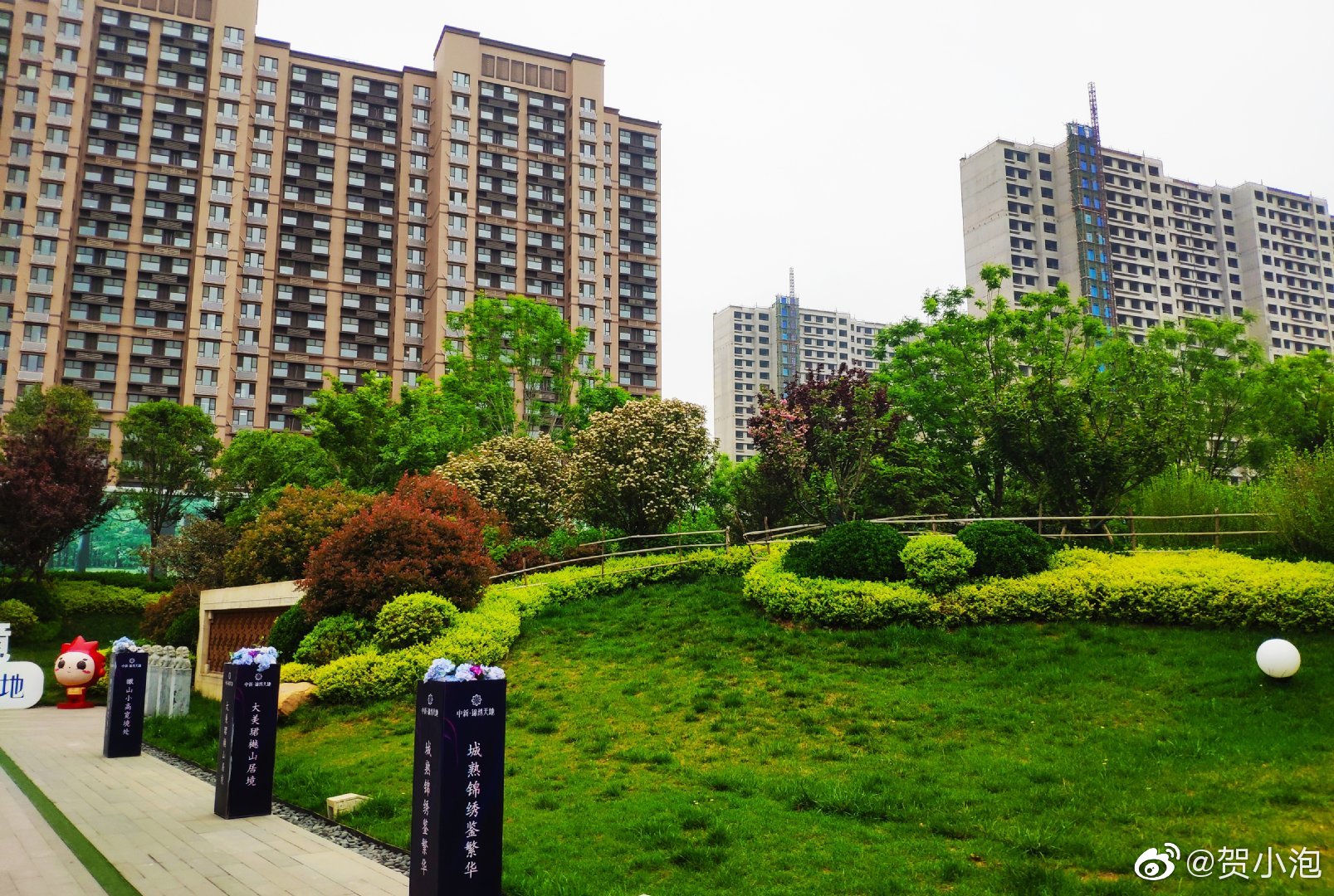 这个季节最适合看房子,郁郁葱葱——中新锦绣天地