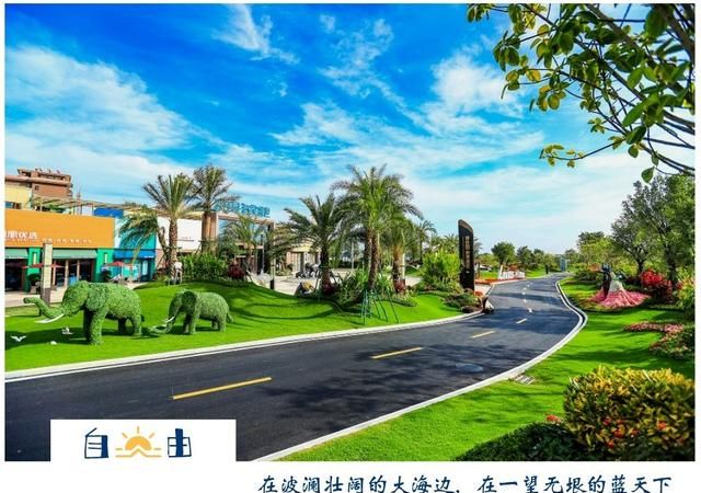 碧桂园:暖阳下我迎芬芳,是谁家的风景.美成这样