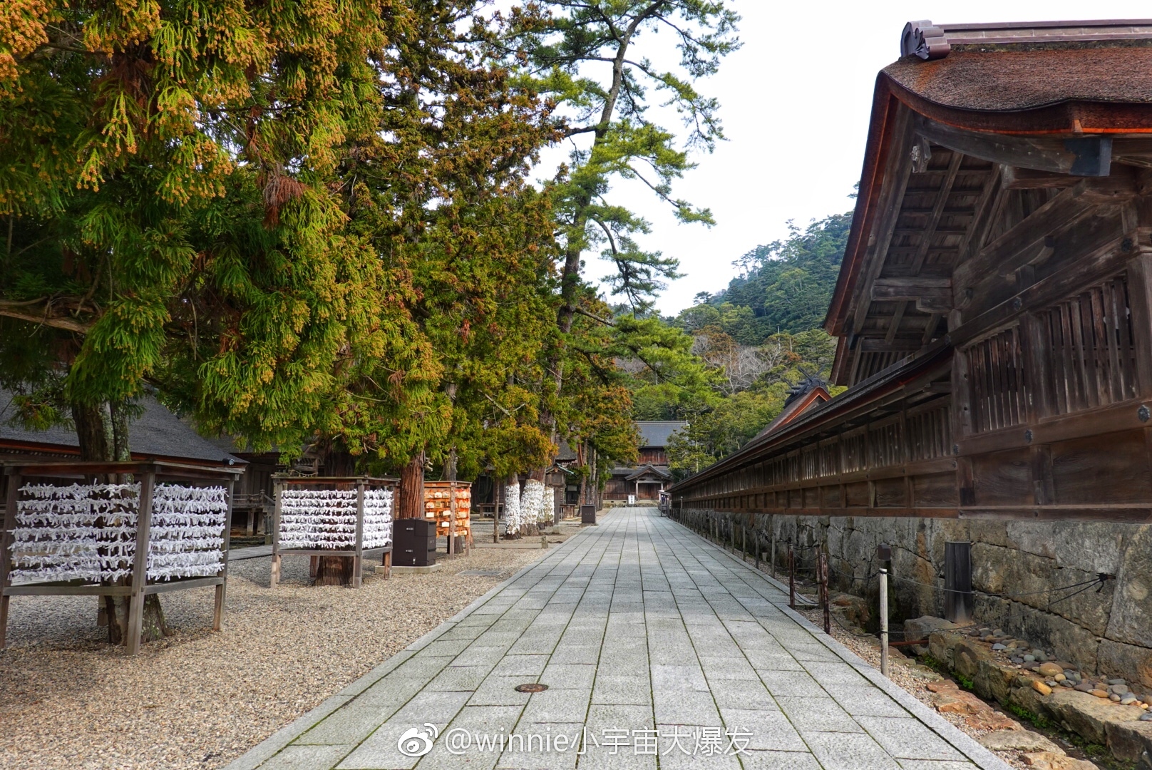 @微博旅游 @日本国家旅游局JNTO 出云大社最值得一观的不是拜殿|神乐|云大|国家旅游局_新浪新闻