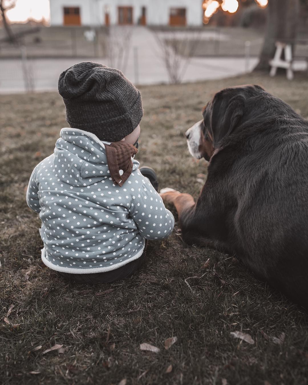 陪伴孩子成长的宠物,但是家长也要事先考虑这些问题|狗狗|小孩|养狗