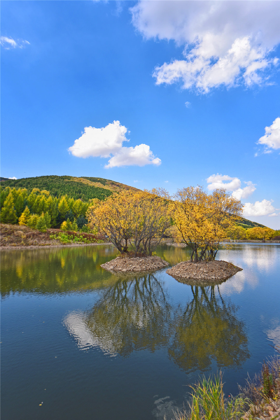 河北最美的秋天在这个地方,诗情画意,不交门票也能欣赏绝美风景