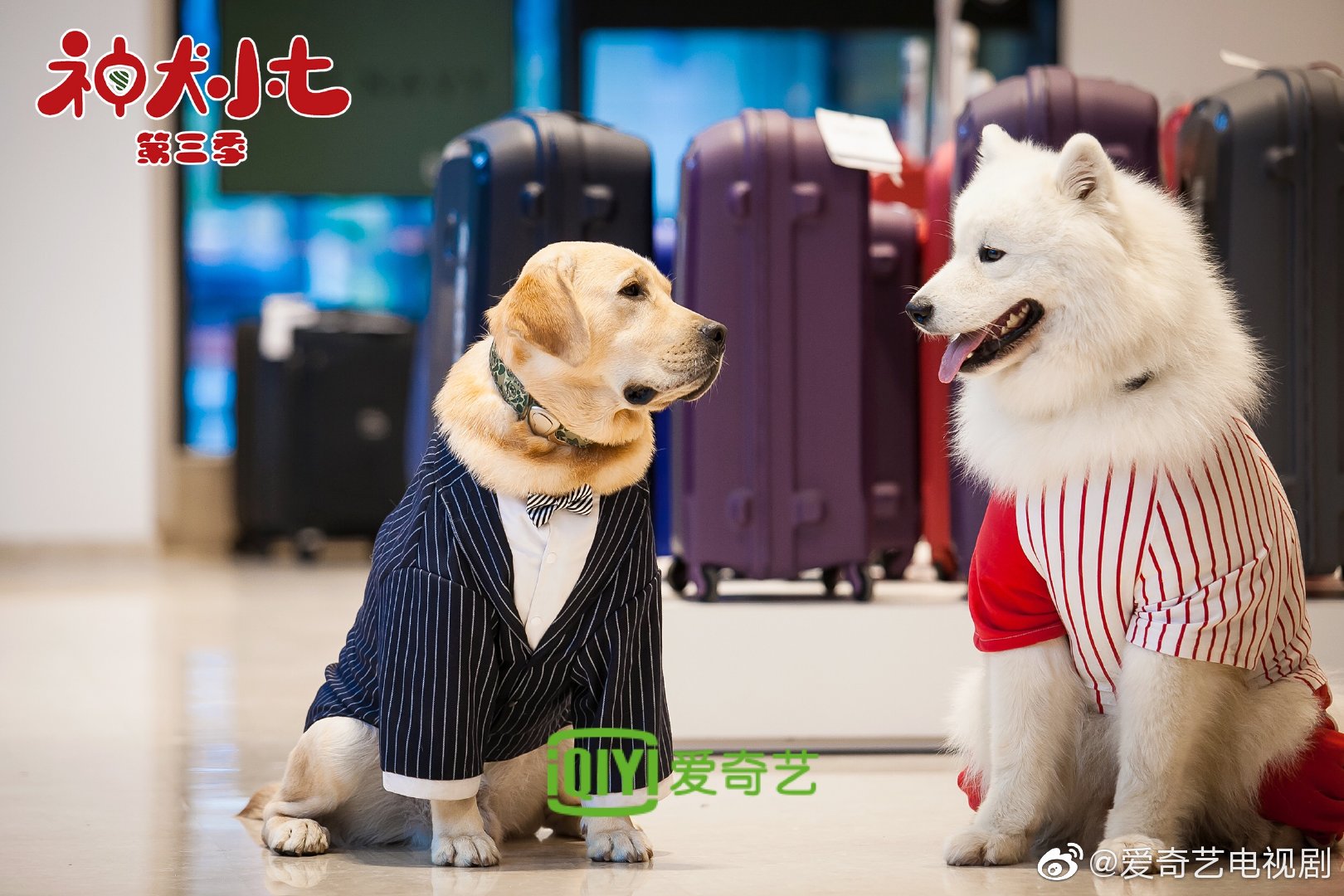 有趣与感动兼具,真诚与温暖齐发;我们是勇敢同行的好伙伴|王祉萱|卢茜