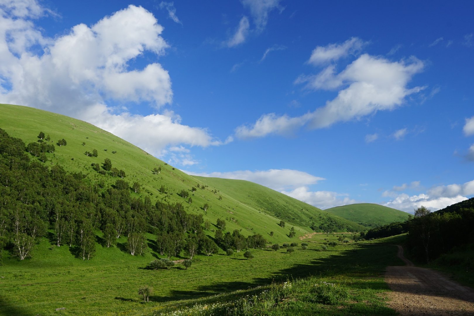 像油画,像漫画一样的柳树沟稀树草原,看了这样的照片怎能不心动