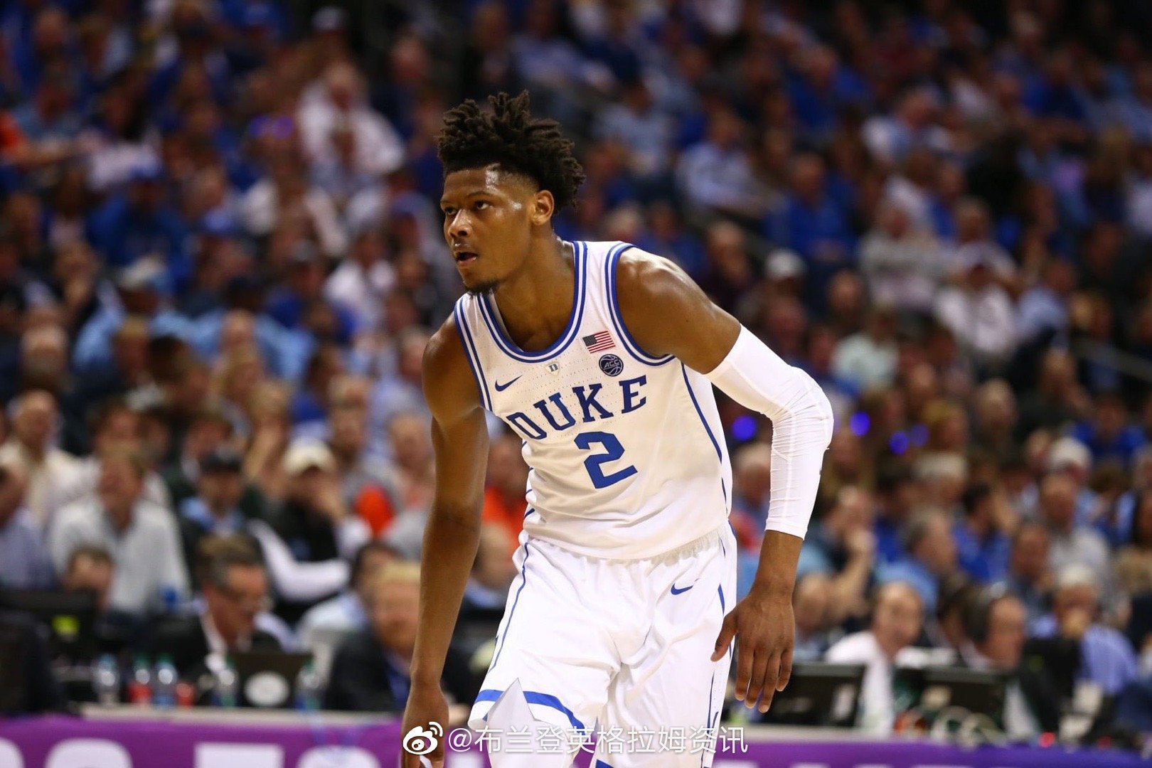 1. 雷迪什(老鹰),得票率19%;2.莫兰特(灰熊),得票率16%;3.