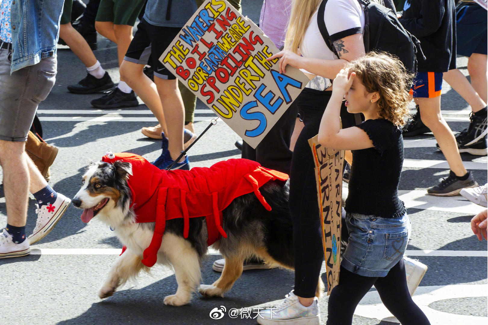 你会因为衰老而死去我会因为气候变化而死 大批青年参加全球气候