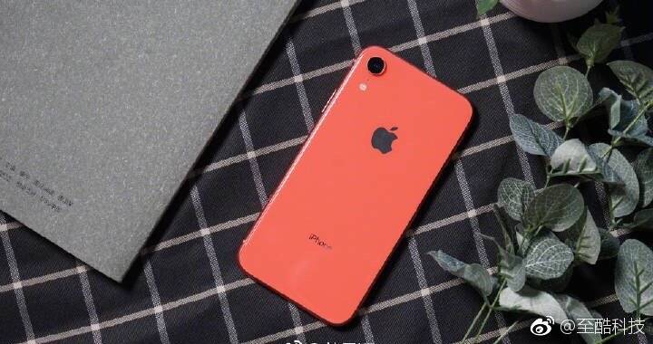 pantone发布2019年度流行色珊瑚橙iphonexr预测成功