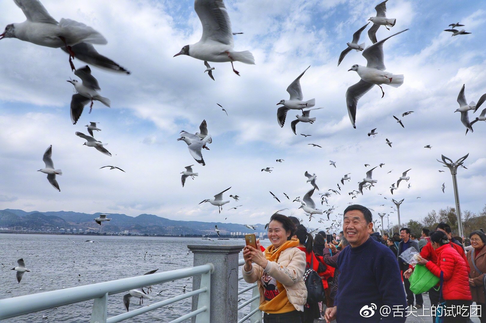 云南四季如春，昆明滇池冬天最热闹，因为这里是海鸥的天堂|海埂公园|天堂|滇池_新浪新闻