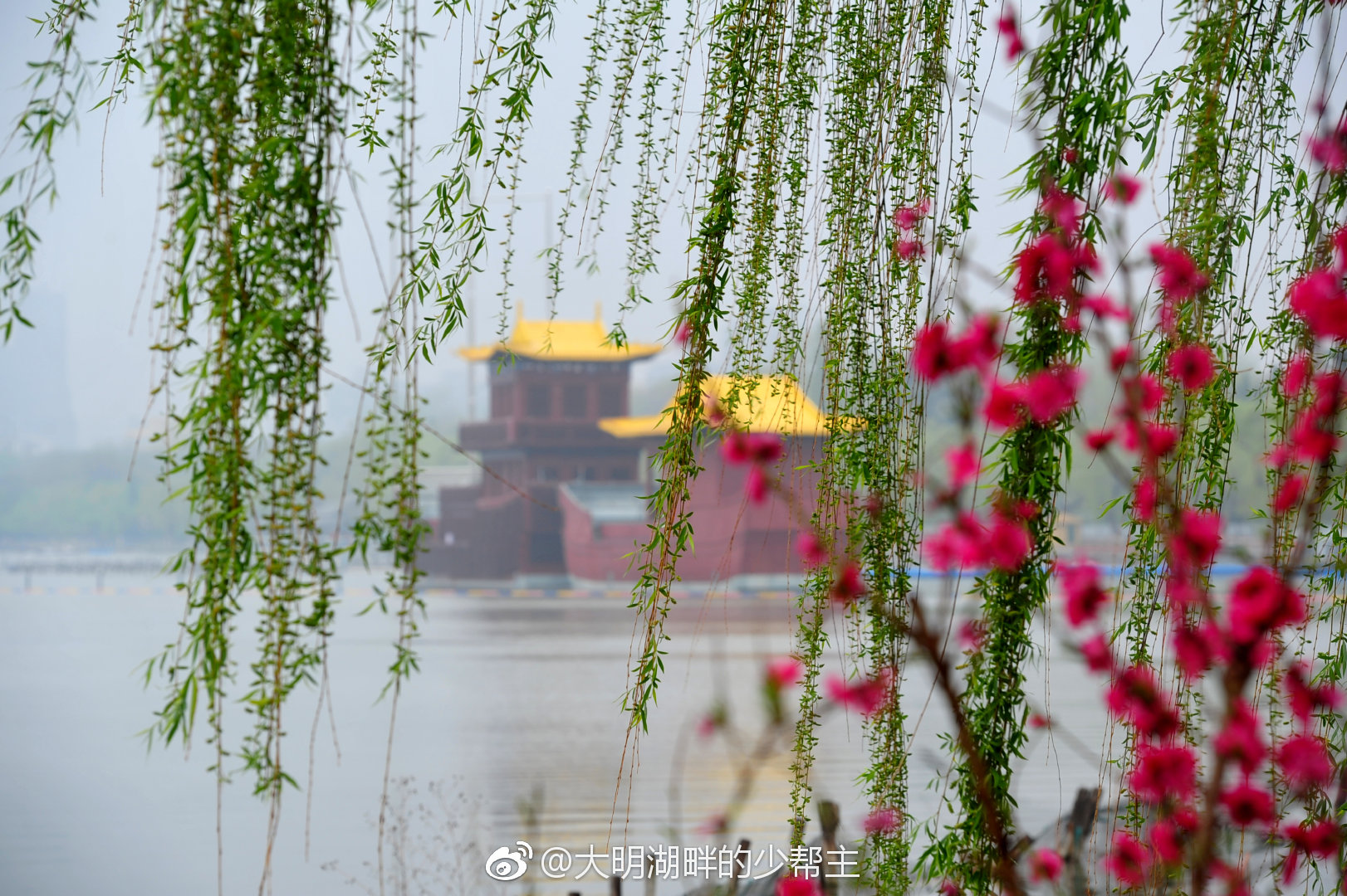 今日是传统节气的“春分”。春分时刻,春风十里,春意融融|节气|泉城|万物|济南|微博_新浪新闻