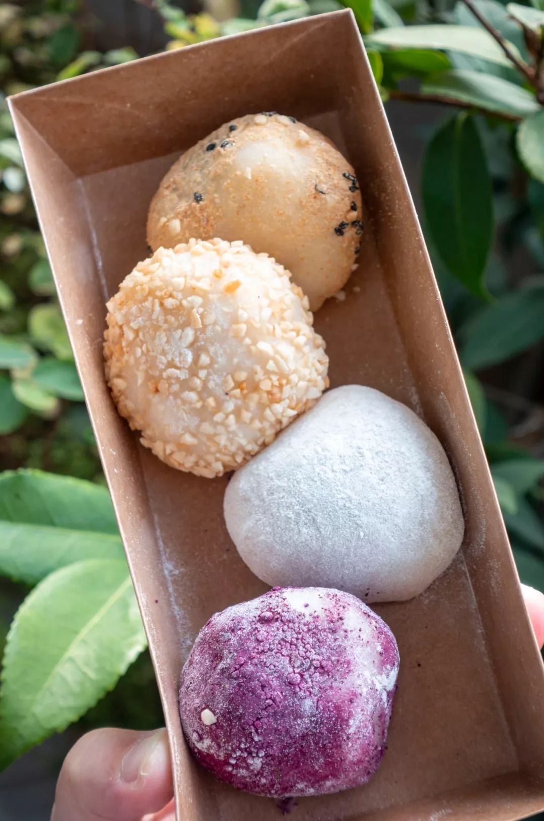 厦门新晋甜品店合集,7家甜品燃起你冬日的幸福感!