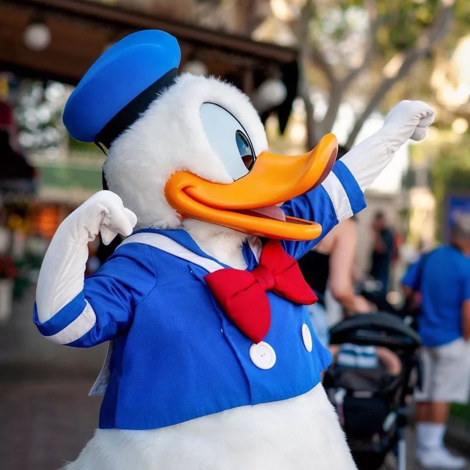 不到60秒的动画我却看哭了……|迪士尼|野鸭|唐老鸭_新浪新闻