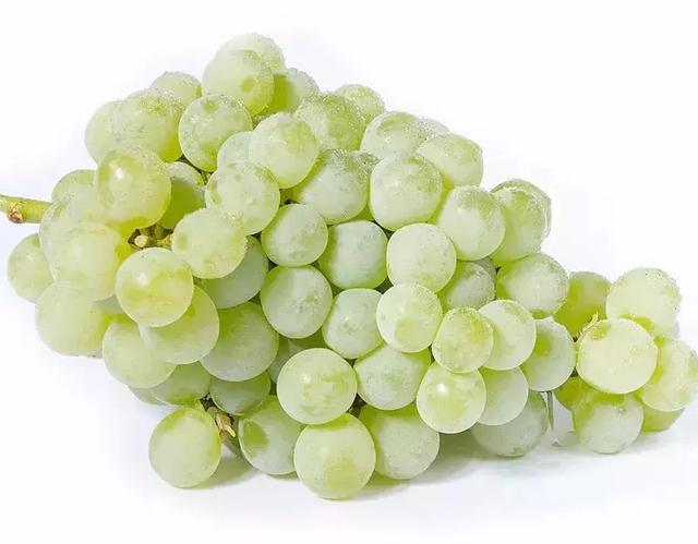 学一技之长,助脱贫致富|贵州|三都|水晶葡萄_新浪新闻