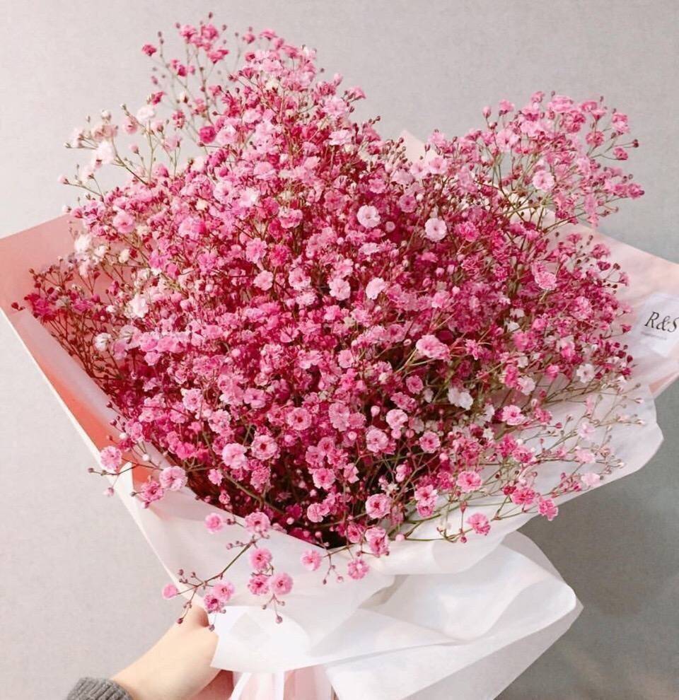 从我们相遇的那一刻你是我白天黑夜不落的星