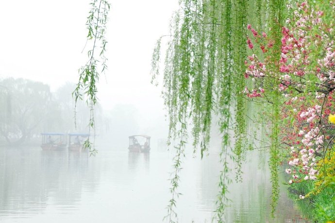 杨柳依依江水生