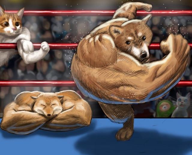 有关注在日本火起来的"肌肉柴犬"么|肌肉|柴犬|三兄弟_新浪新闻