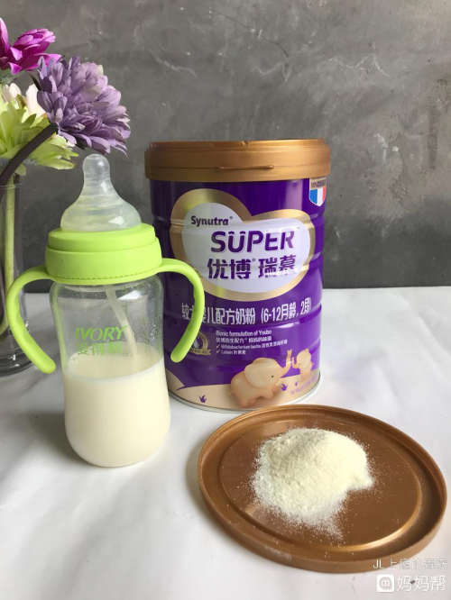 健身蛋白粉十大品牌 乳清蛋白粉选购指南