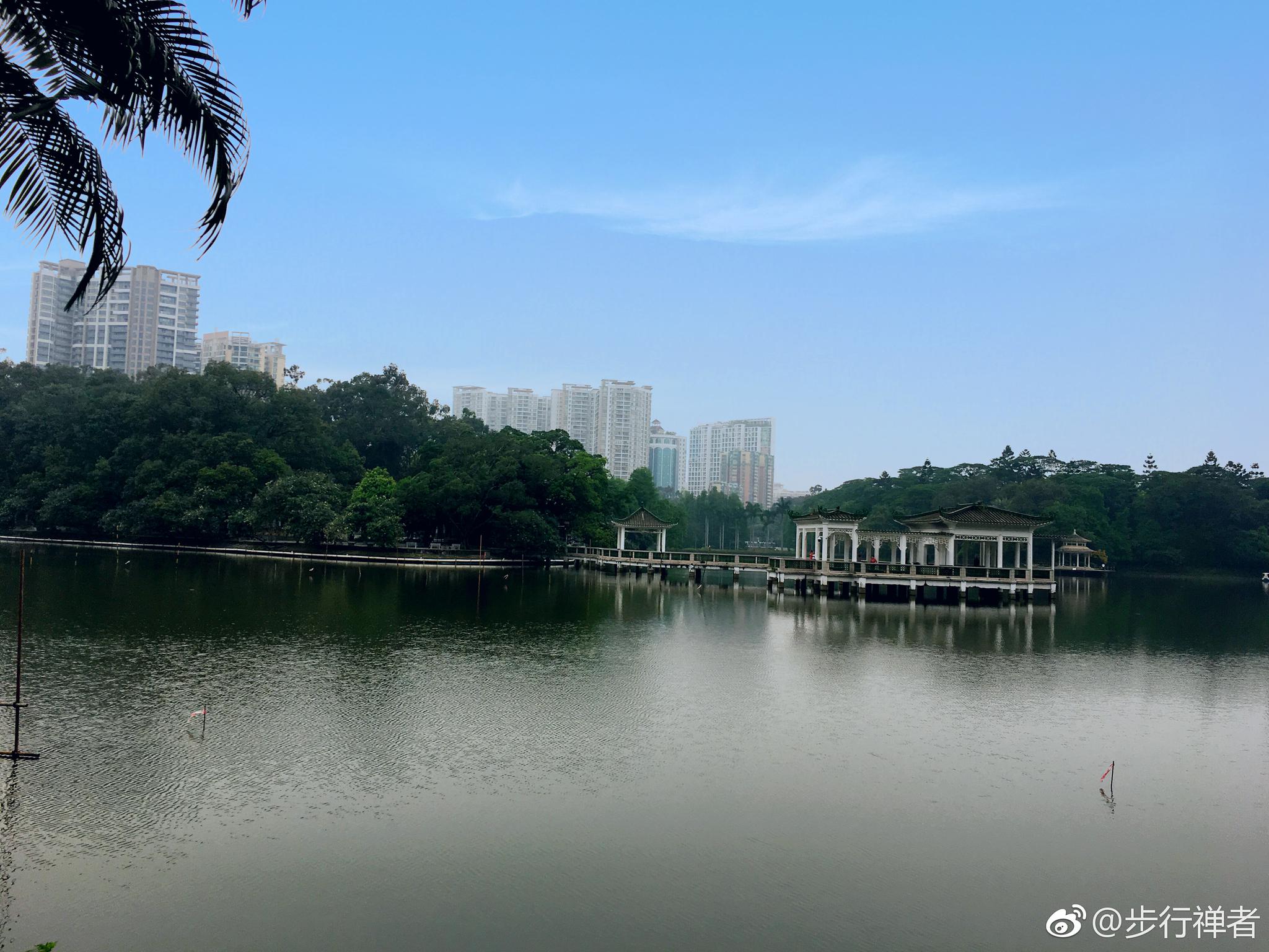 廣州天河公園和晨起鍛鍊的人們 @微博旅遊