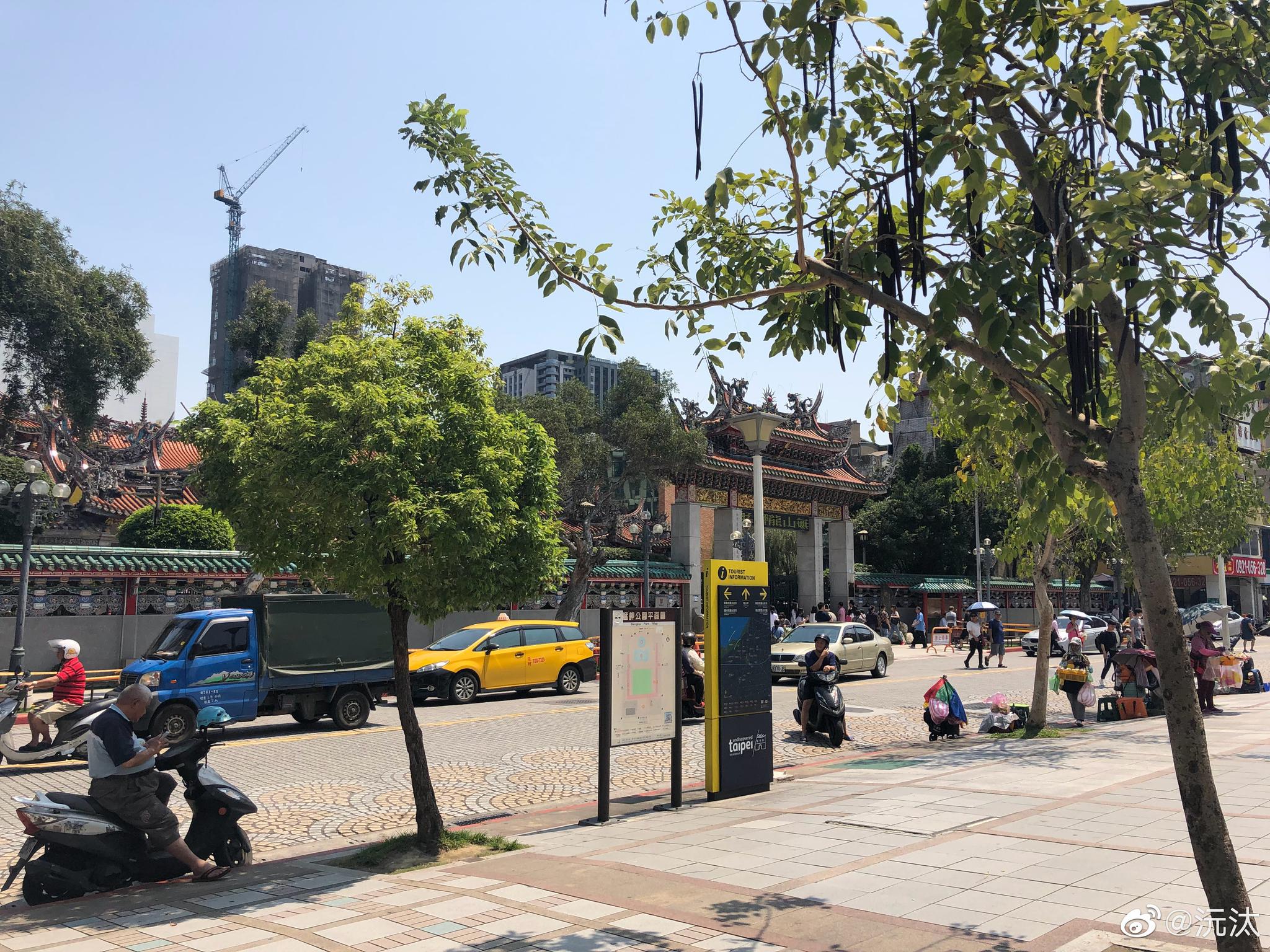 艋舺公园有种神奇的植物,图1,2,3香肠树