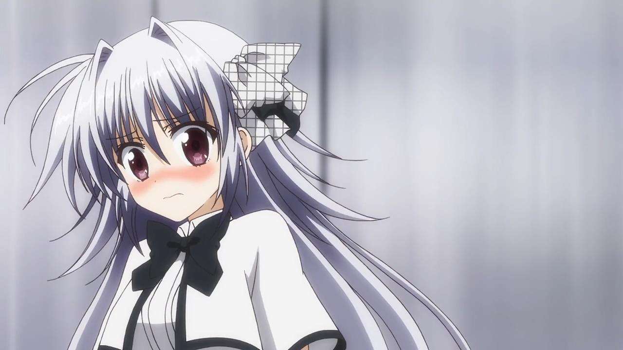 【伊莉丝·弗蕾亚 《铳皇无尽的法夫纳》声优:日高里菜】那时候