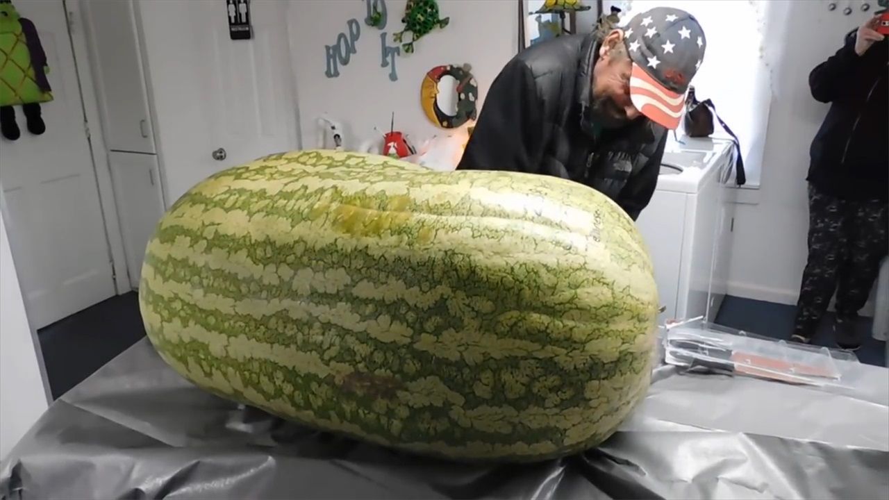 小伙买回一个260斤的大西瓜,切开的一瞬间,顿时恍惚了!