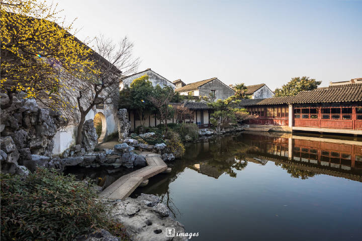 艺圃的蜡梅花开了!隔着屏幕,都能感受到芬芳