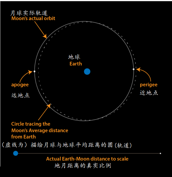 到离地球最近的位置,这被称为近地点|远地点|近地点|月球_新浪新闻