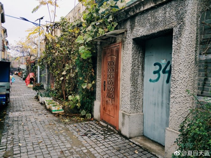 南京桃源新村,落叶,老街,老房子