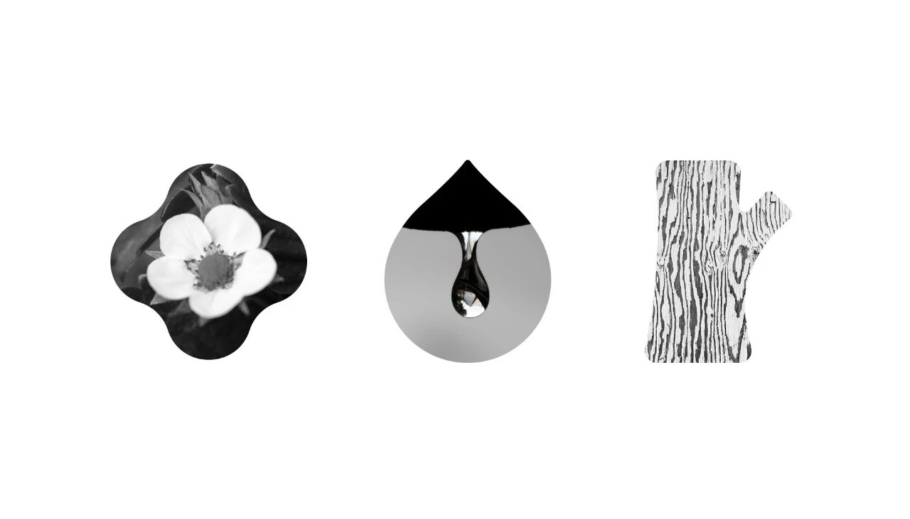 花水木居家清洁logo设计欣赏 花水木居家清洁logo设计欣赏