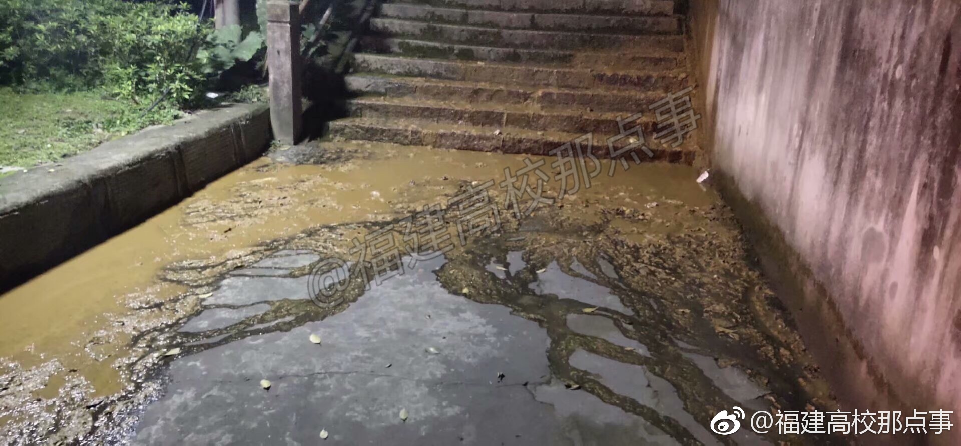 福建农林大学粪坑炸了!我隔着屏幕都闻到了味道