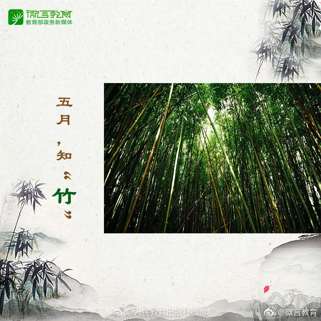 被蛇咬住怎么让它松口？一刀剪掉脑袋？...