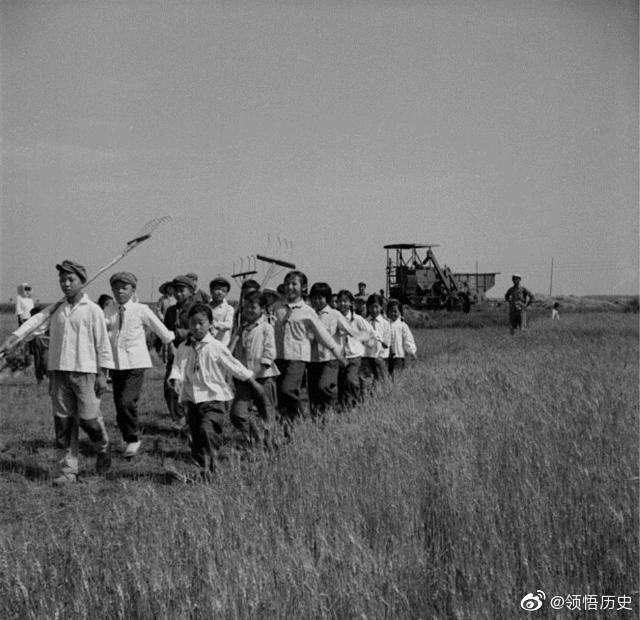 从生产队看“厕所革命”