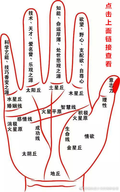 手相中最主要的三条线 感情线 智慧线和生命线 男人左手代表自己 手相中最主要的三条线 感情线 智慧线和生命线 男人左手代表自己
