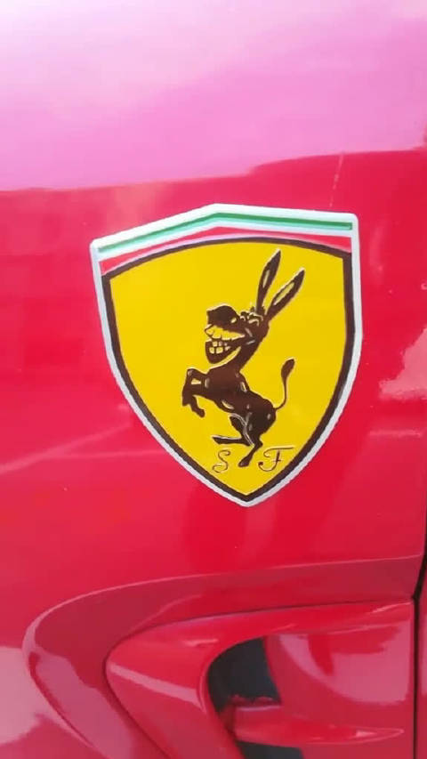 这法拉驴很是有动力