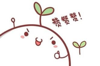 壁挂炉增加寿命需定期保养