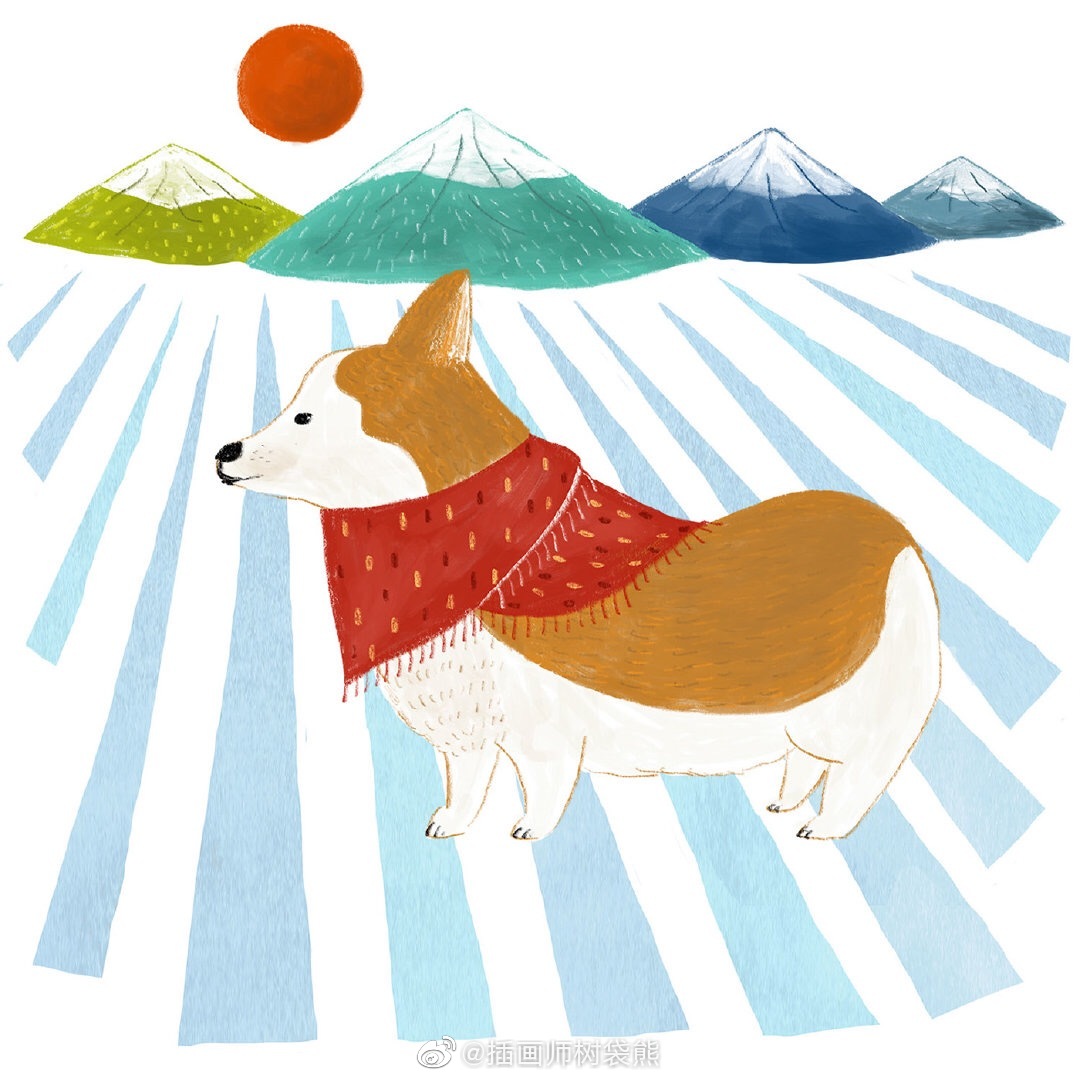 日本插画师 macco 可爱的小动物插画设计作品