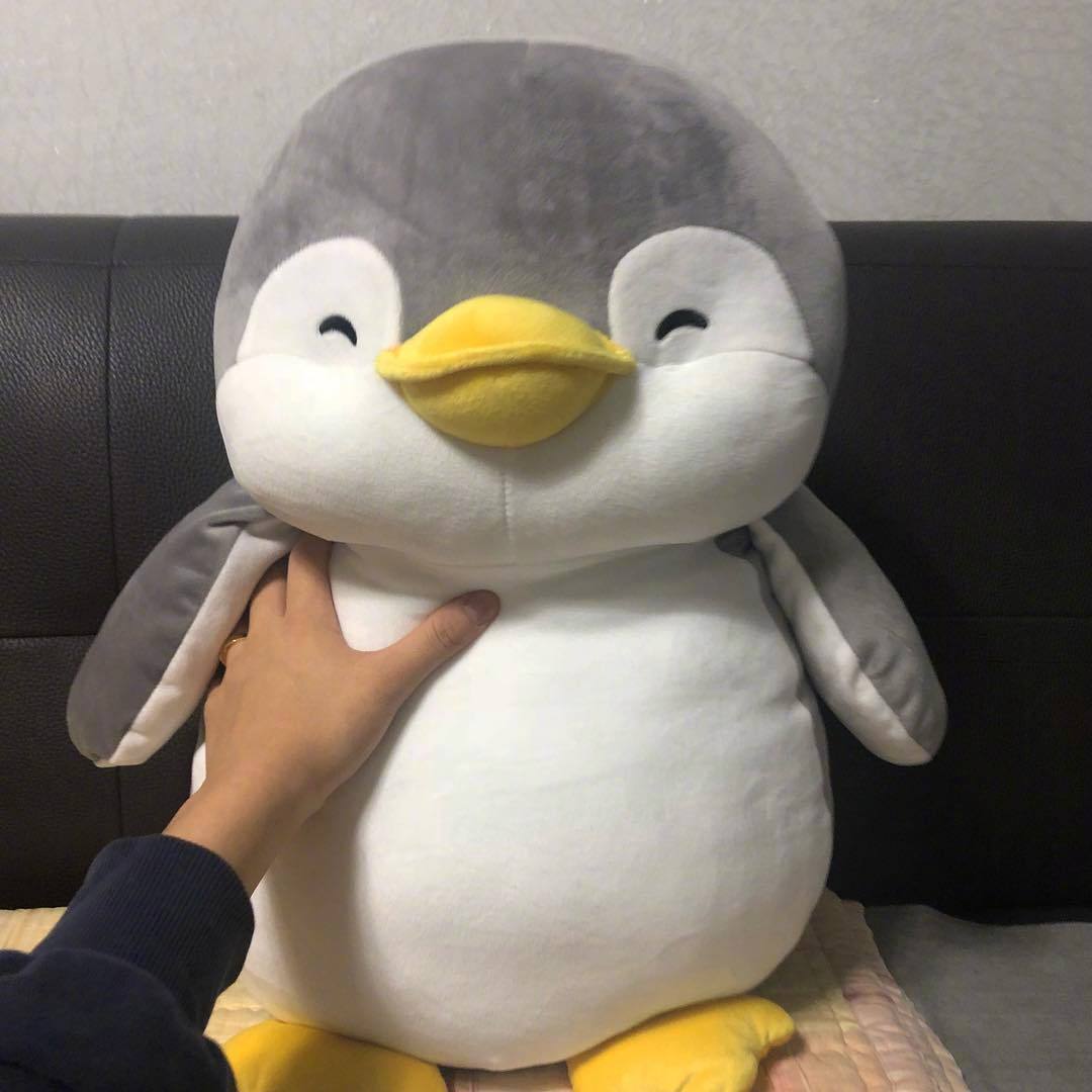 最近,韩国名创优品的这个企鹅玩偶在韩网火了~如果你们去逛